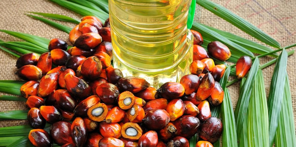 huile de palme : démêler le vrai du faux 